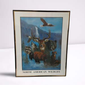 North American Wildlife - Framed - 16.2" W x 20.2" H