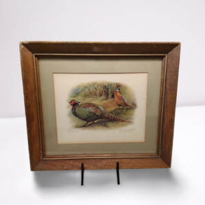 Framed Artwork - Pheasant Scene -  14" W x 12" H